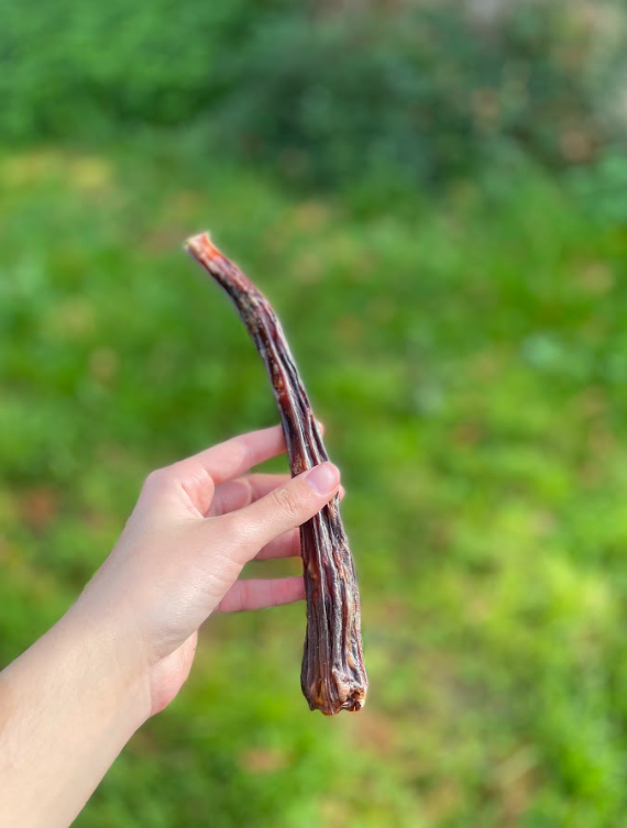 Queue de boeuf 20cm (dès 2,15€ unité en lot)