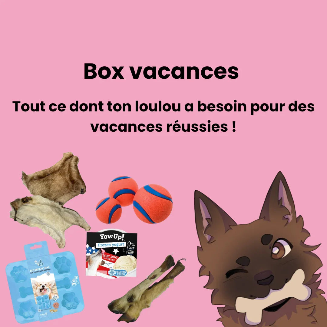 Box vacances