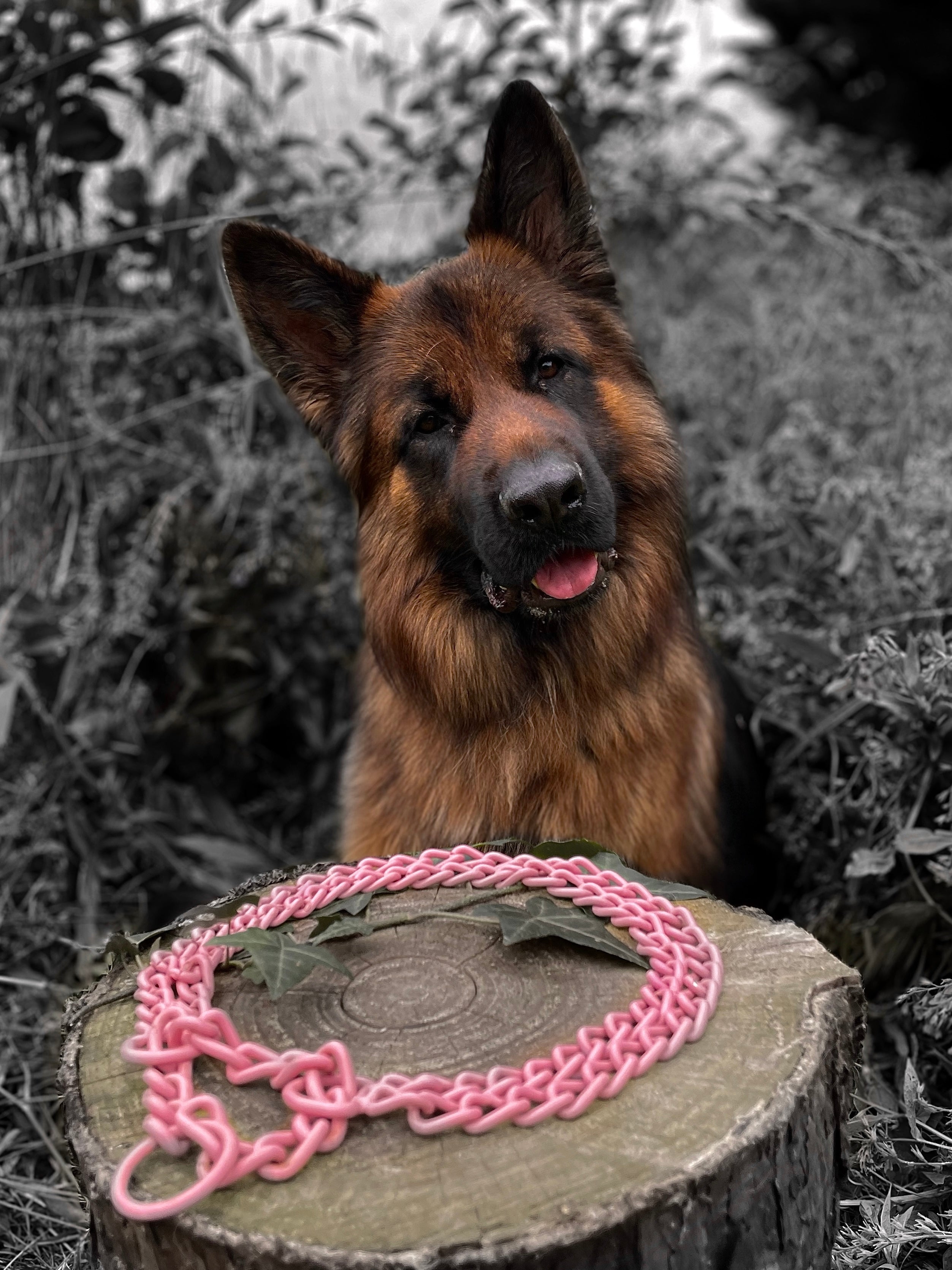 Nos colliers Martingales personnalisés