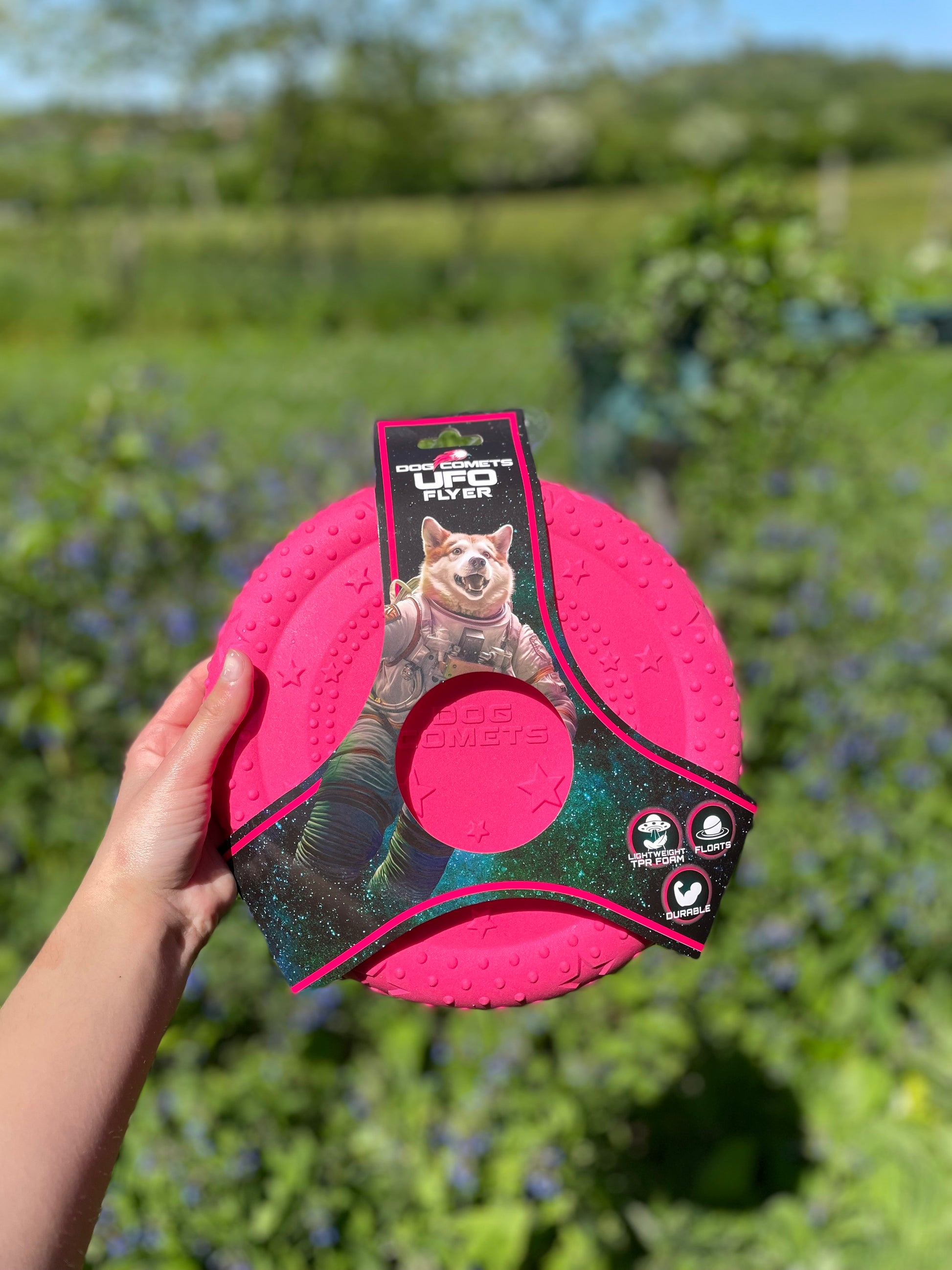 Frisbee pour chien