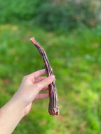Queue de boeuf 20cm (dès 2,15€ unité en lot)