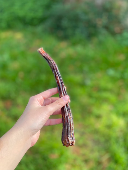 Queue de boeuf 20cm (dès 2,15€ unité en lot)