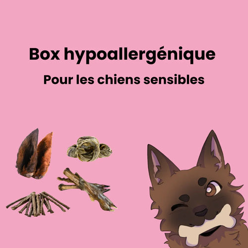 Box hypoallergénique