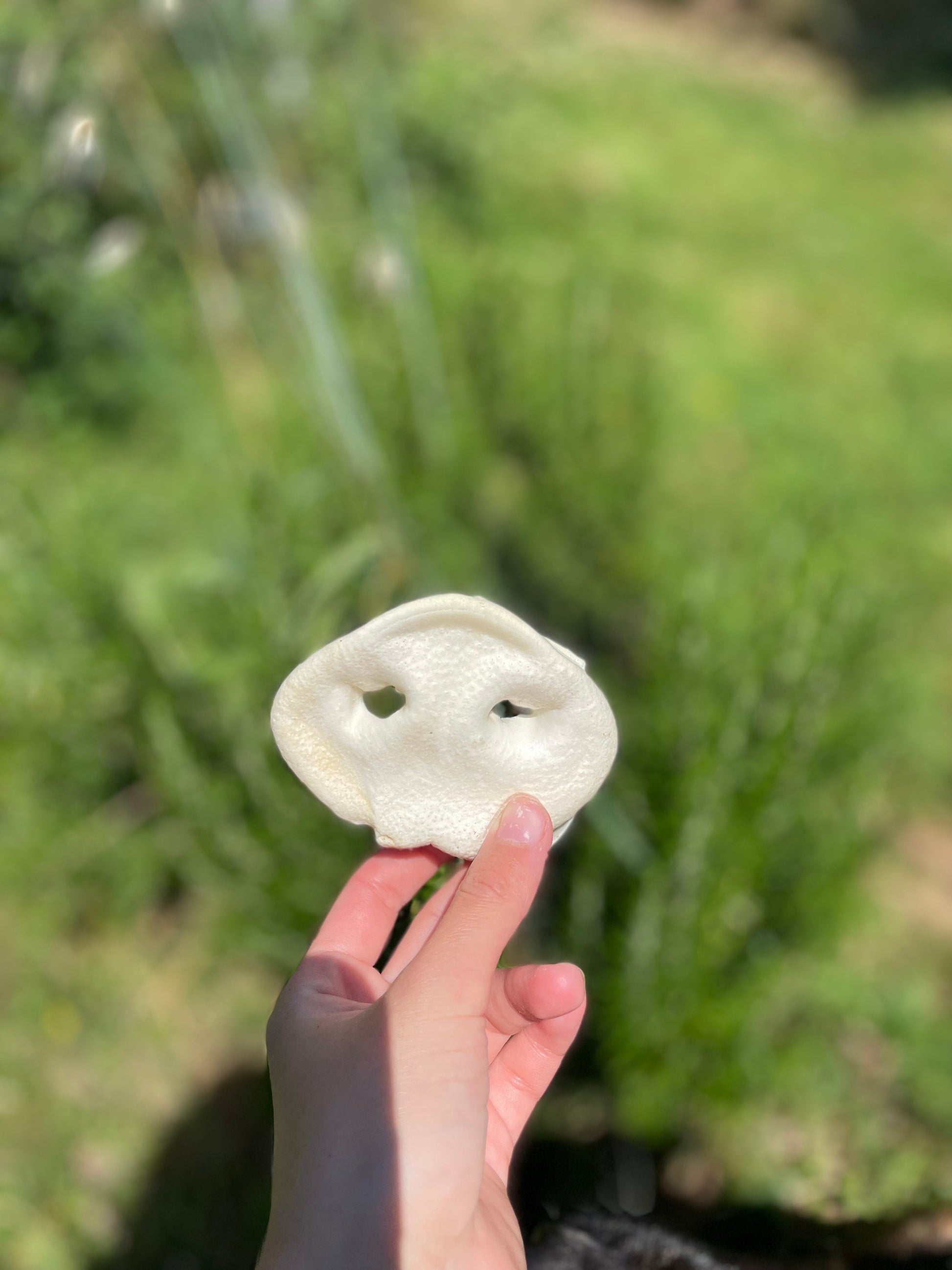 Groin de porc soufflé au miel
