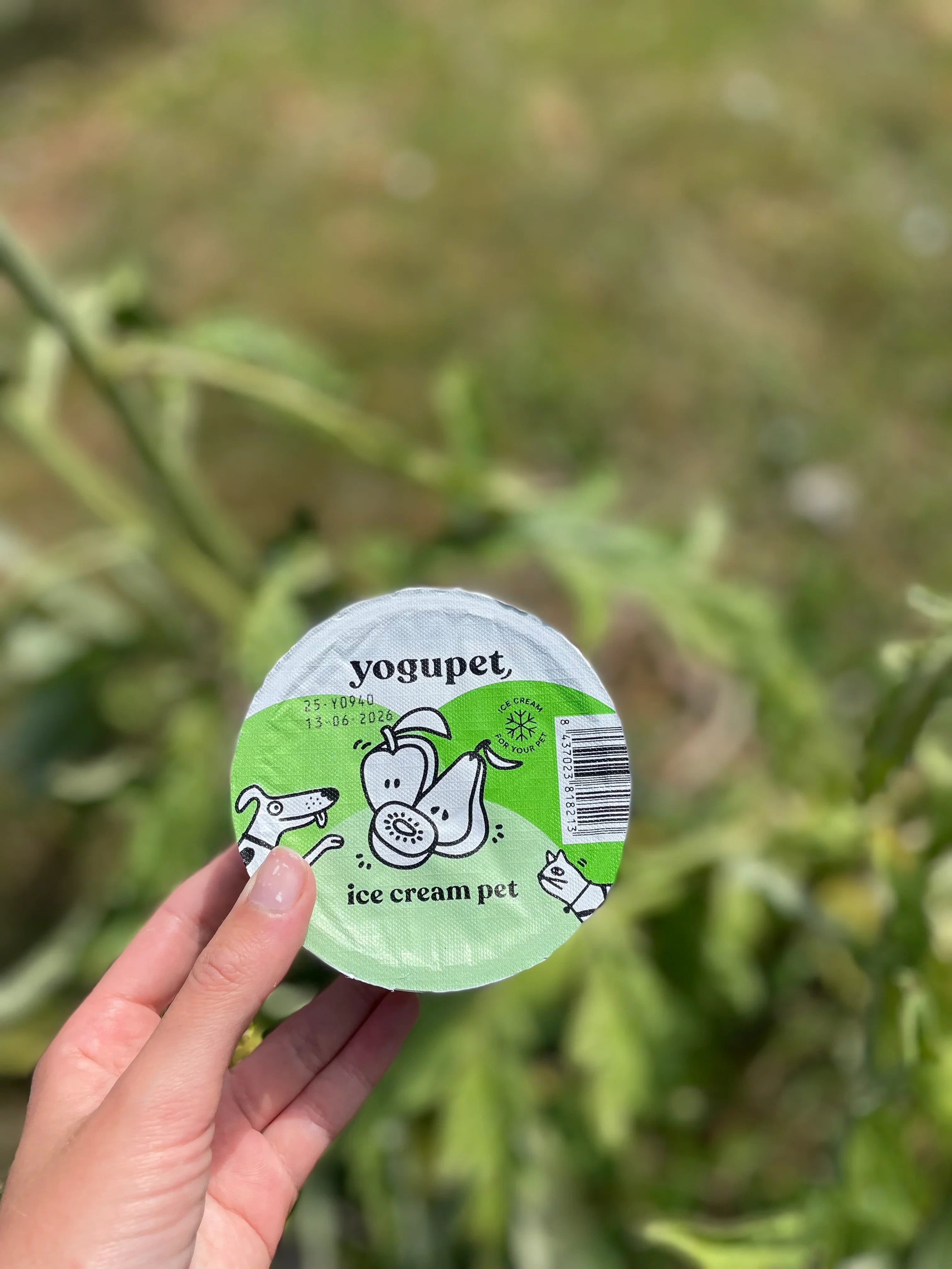 Crème glacée Yogupet aux fruits verts