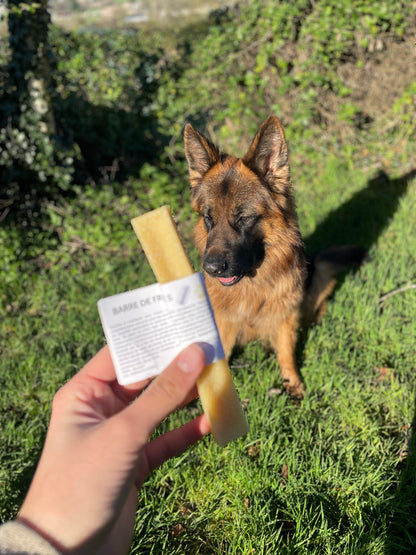 Cheese bone