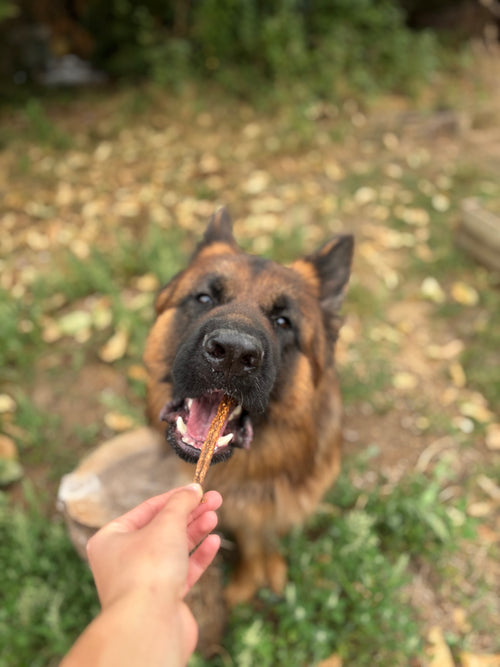Stick d’autruche