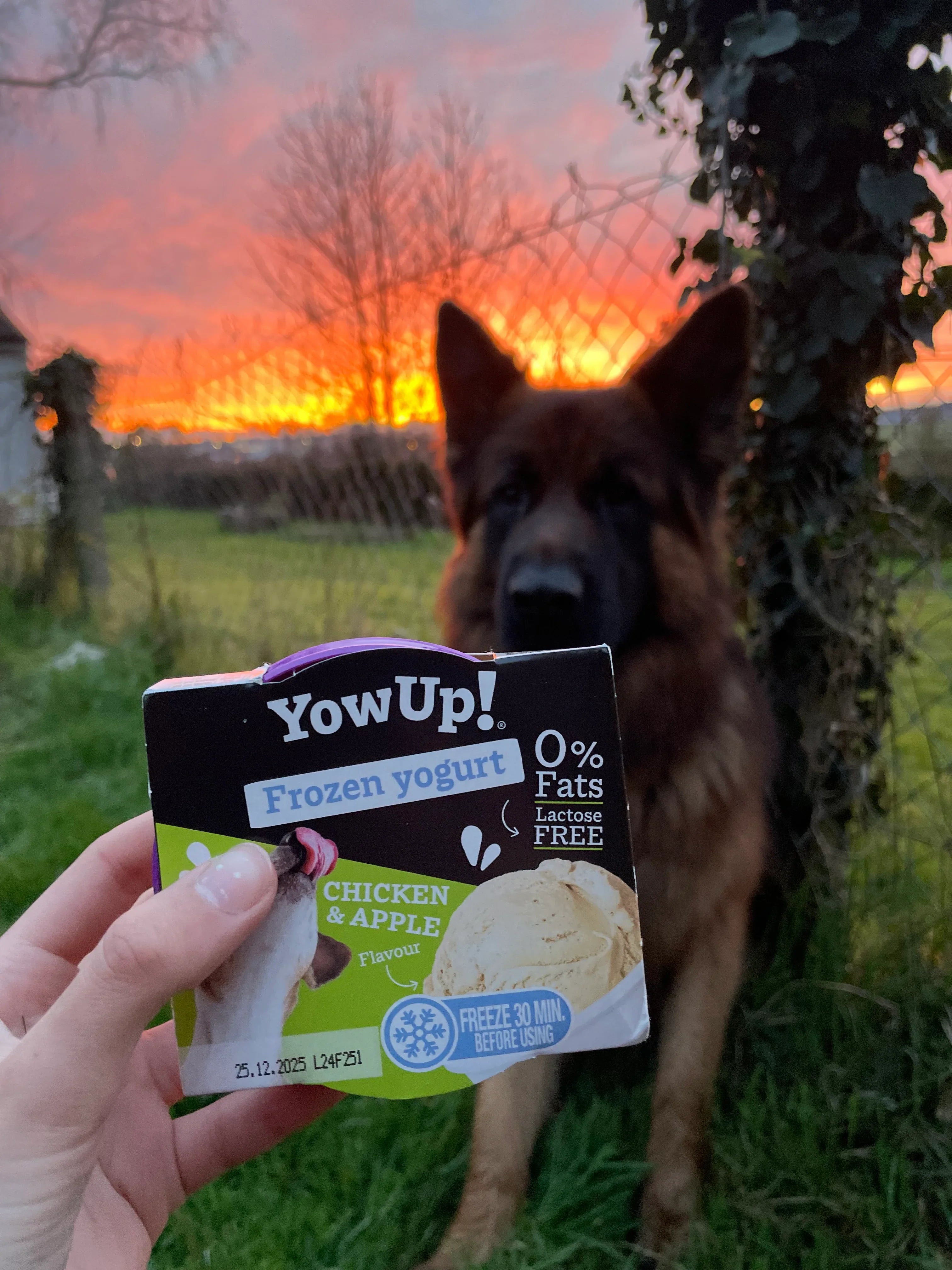 Crème glacée Yowup! Poulet & Pomme