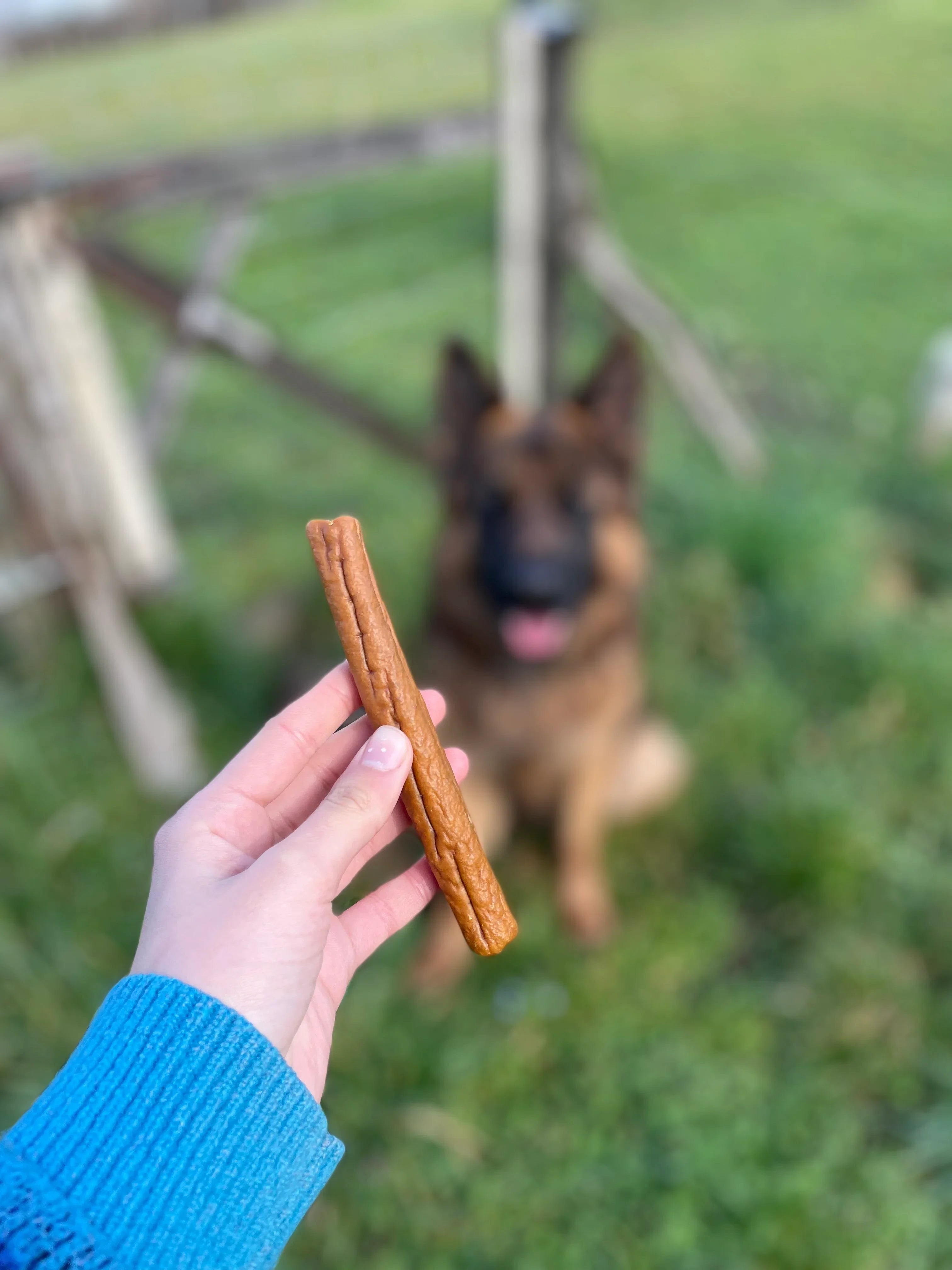 Cigare de poulet