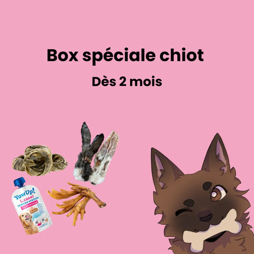 Box spéciale chiot (dès 2 mois)
