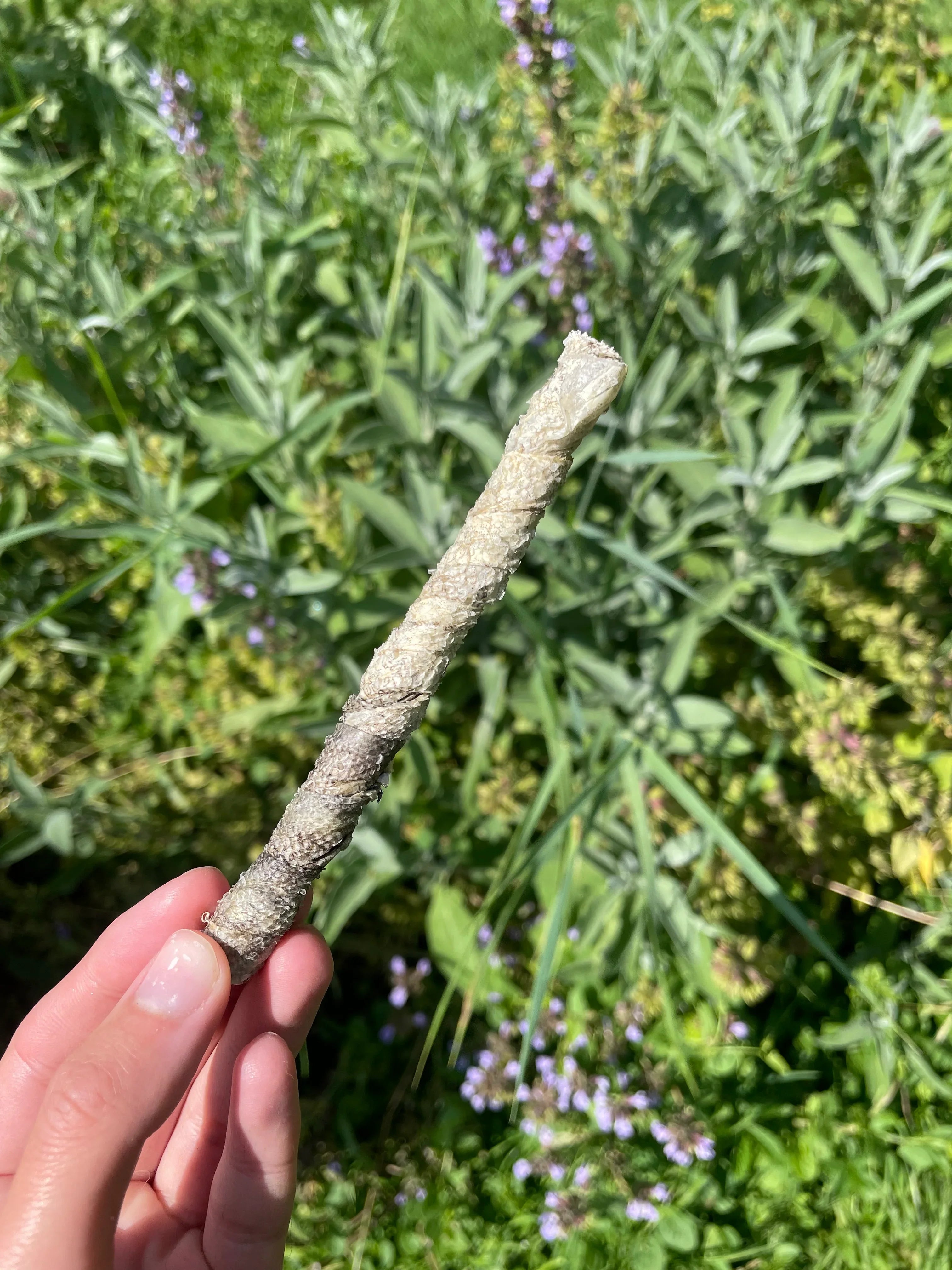 Stick de saumon