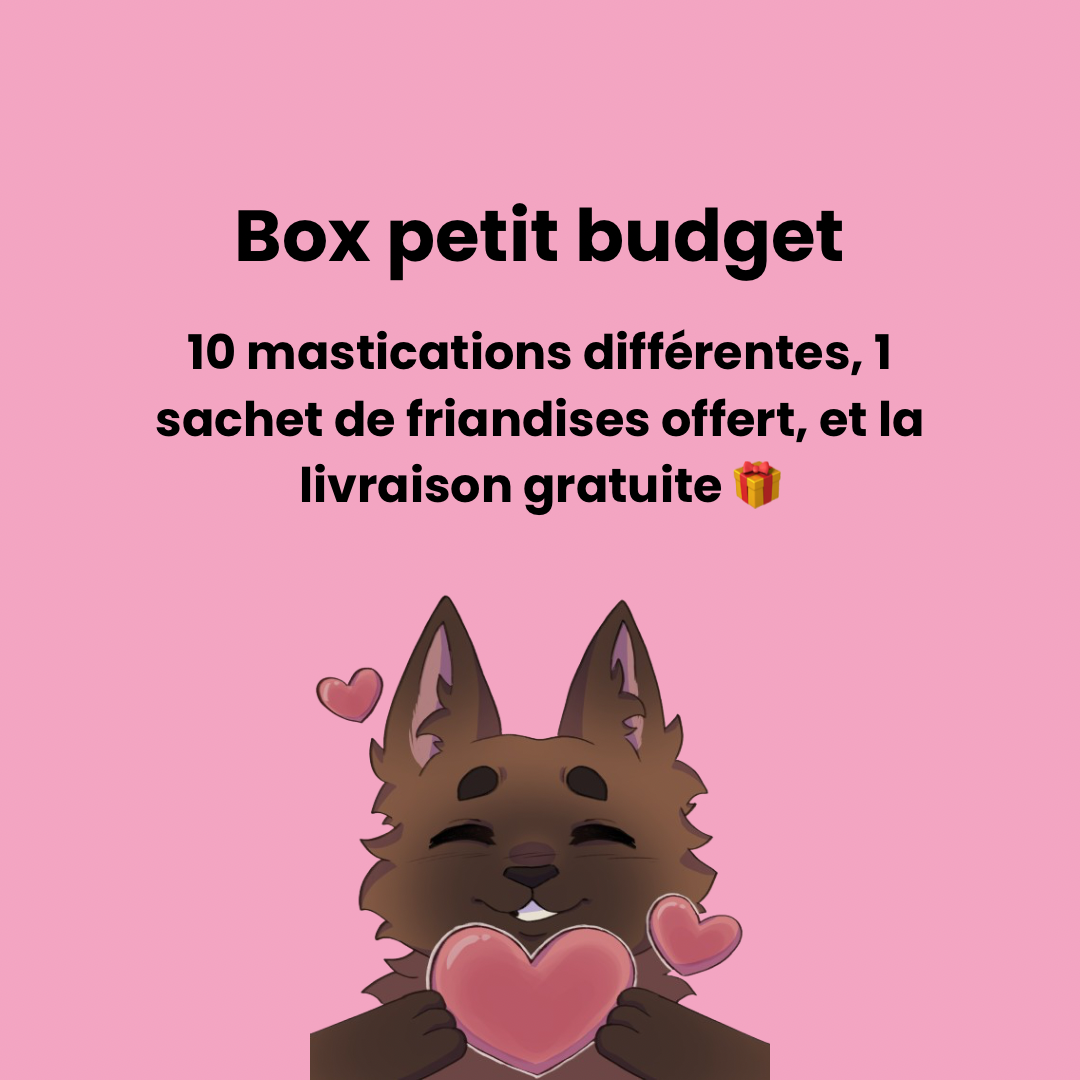 Box petit budget