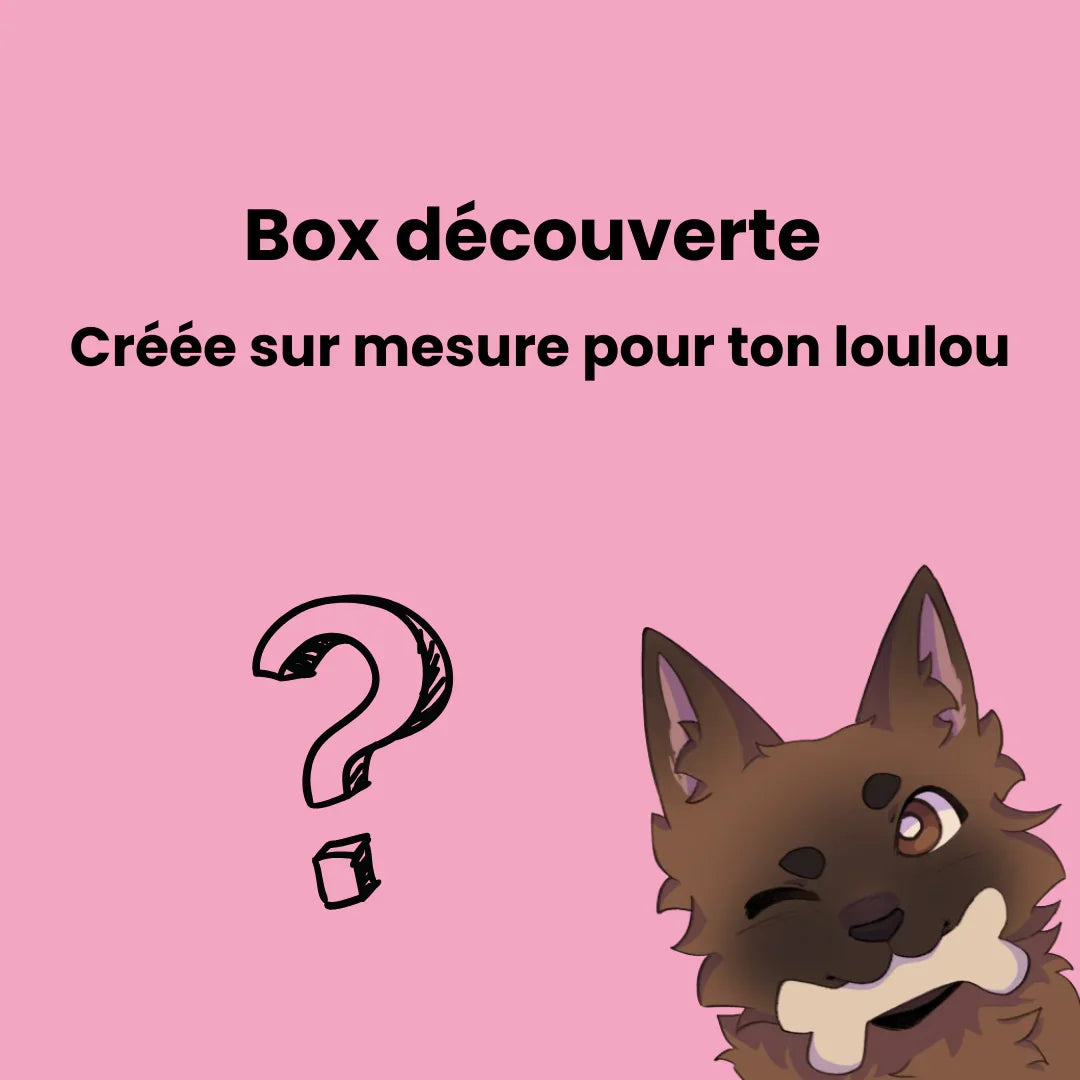 Box découverte