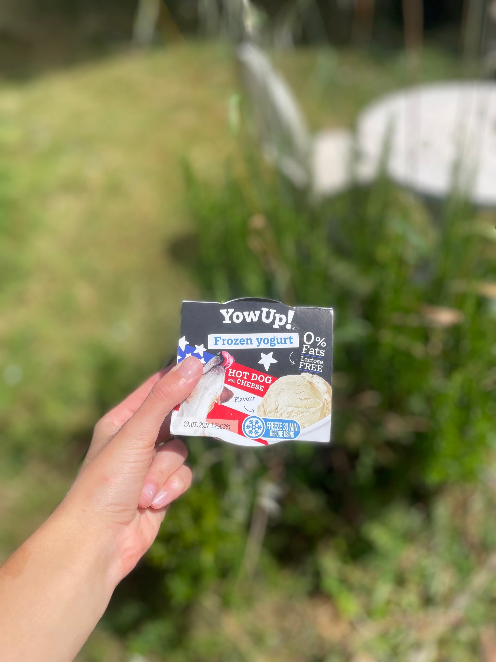 Crème glacée Yowup Hotdog [Nouveauté]