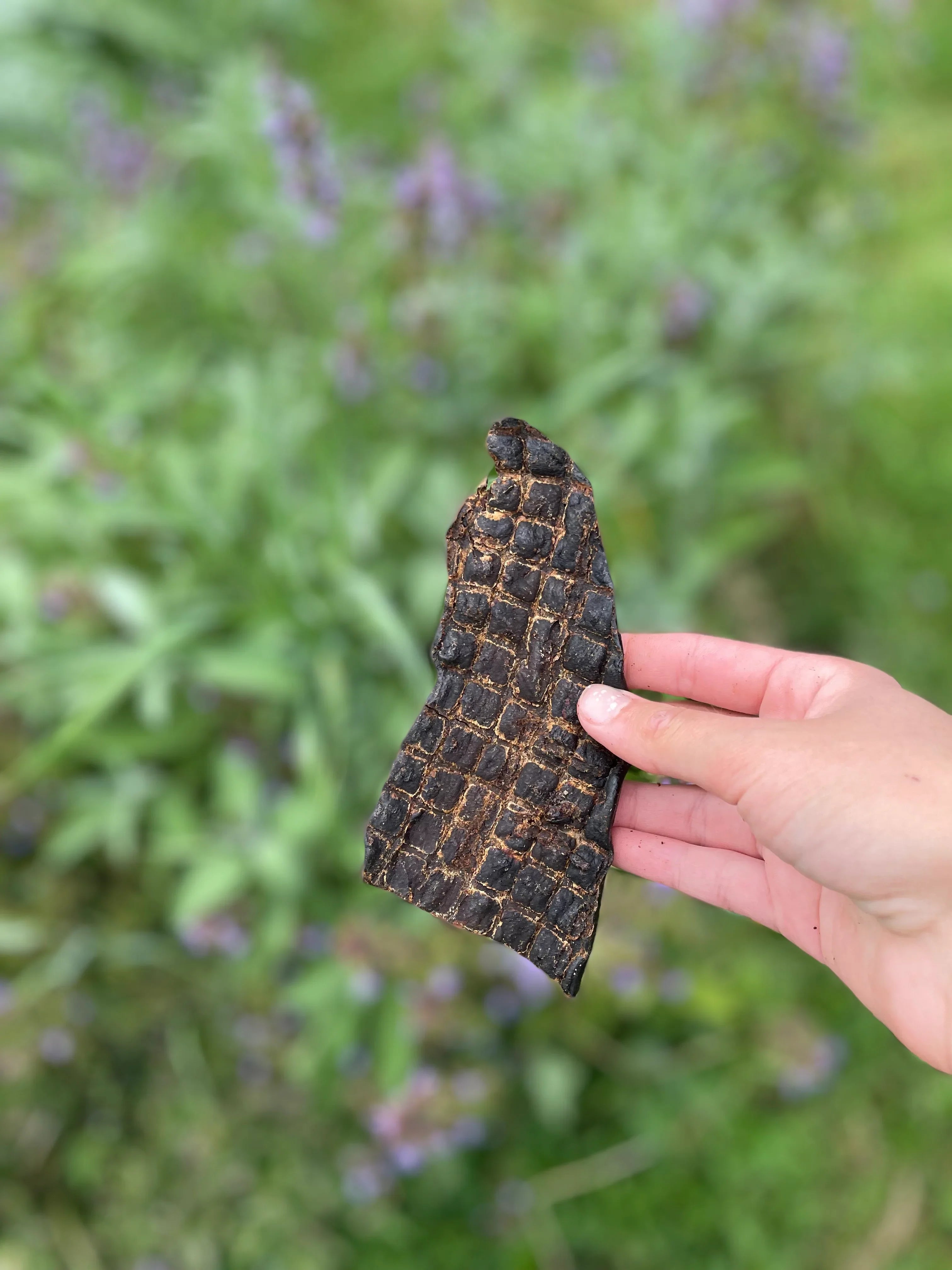 Foie de bœuf