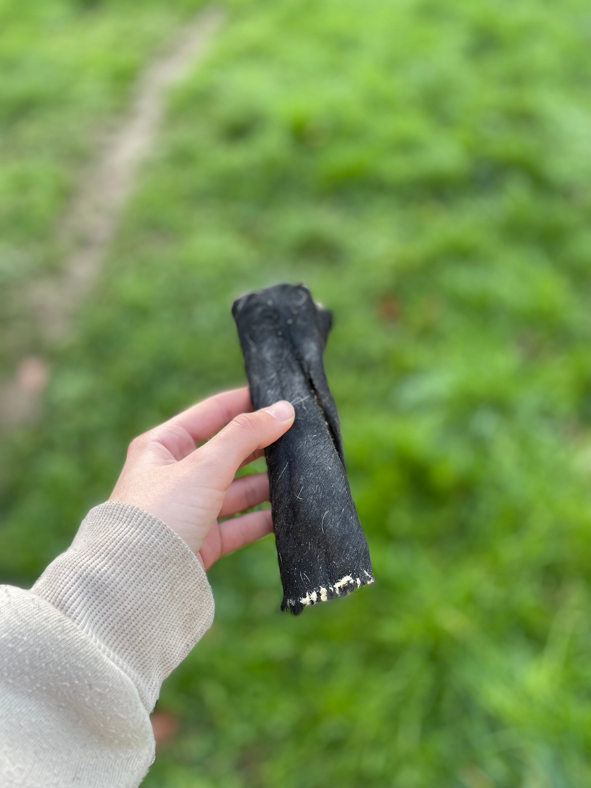 Peau de tête de bœuf avec poils (dès 1,50€ unité)