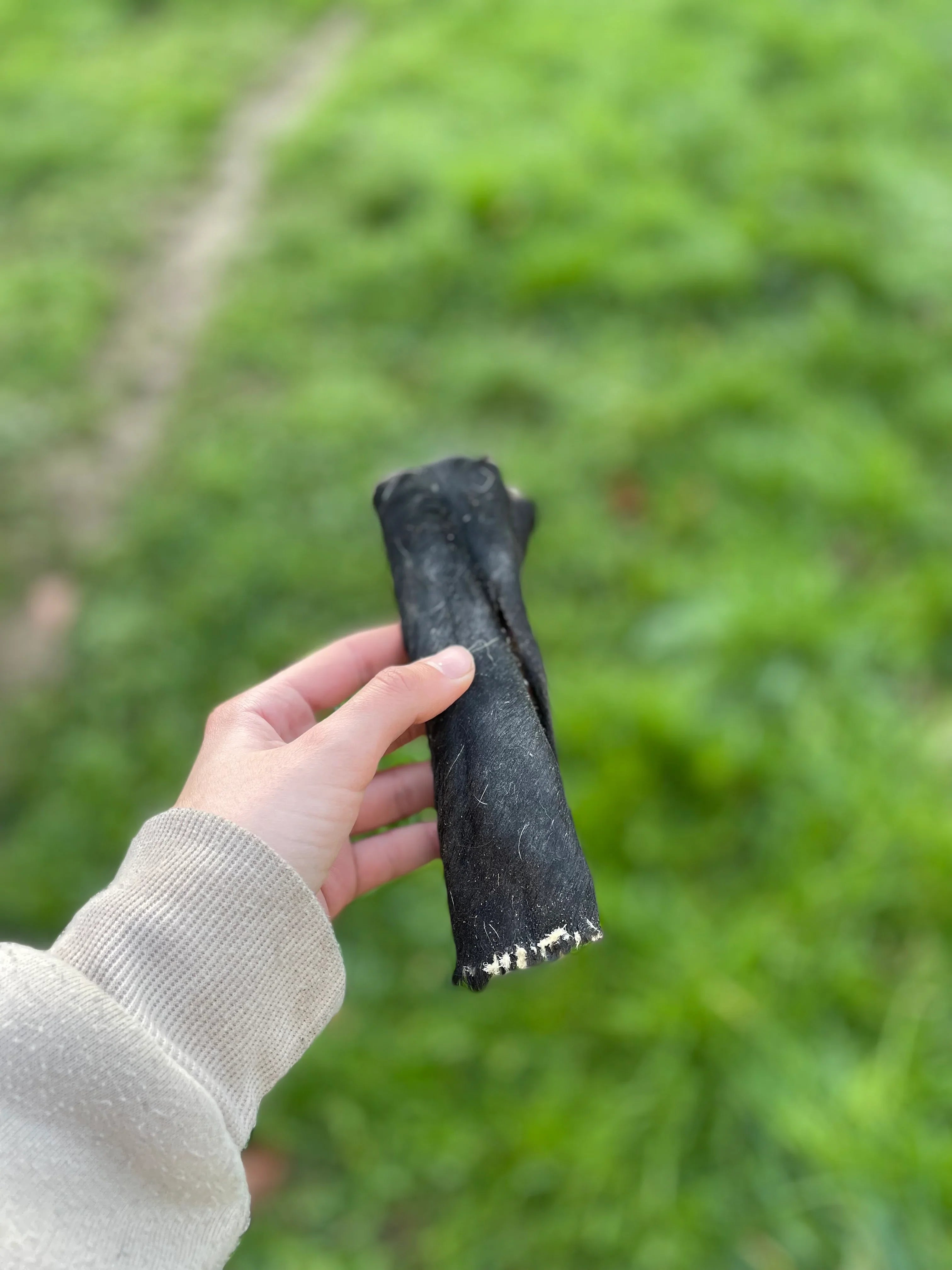 Peau de tête de bœuf avec poils (dès 1,50€ unité)