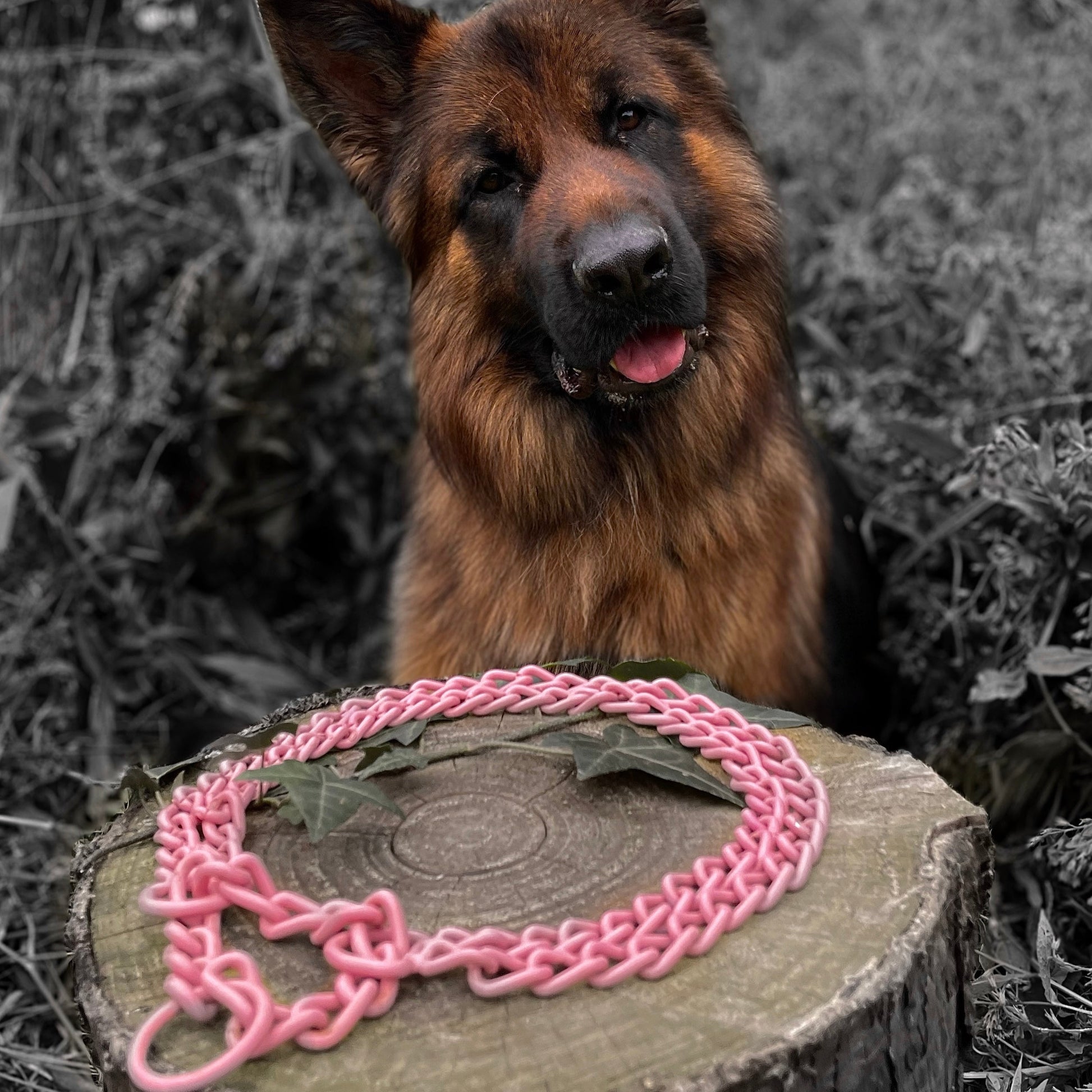 Nos Martingales personnalisables