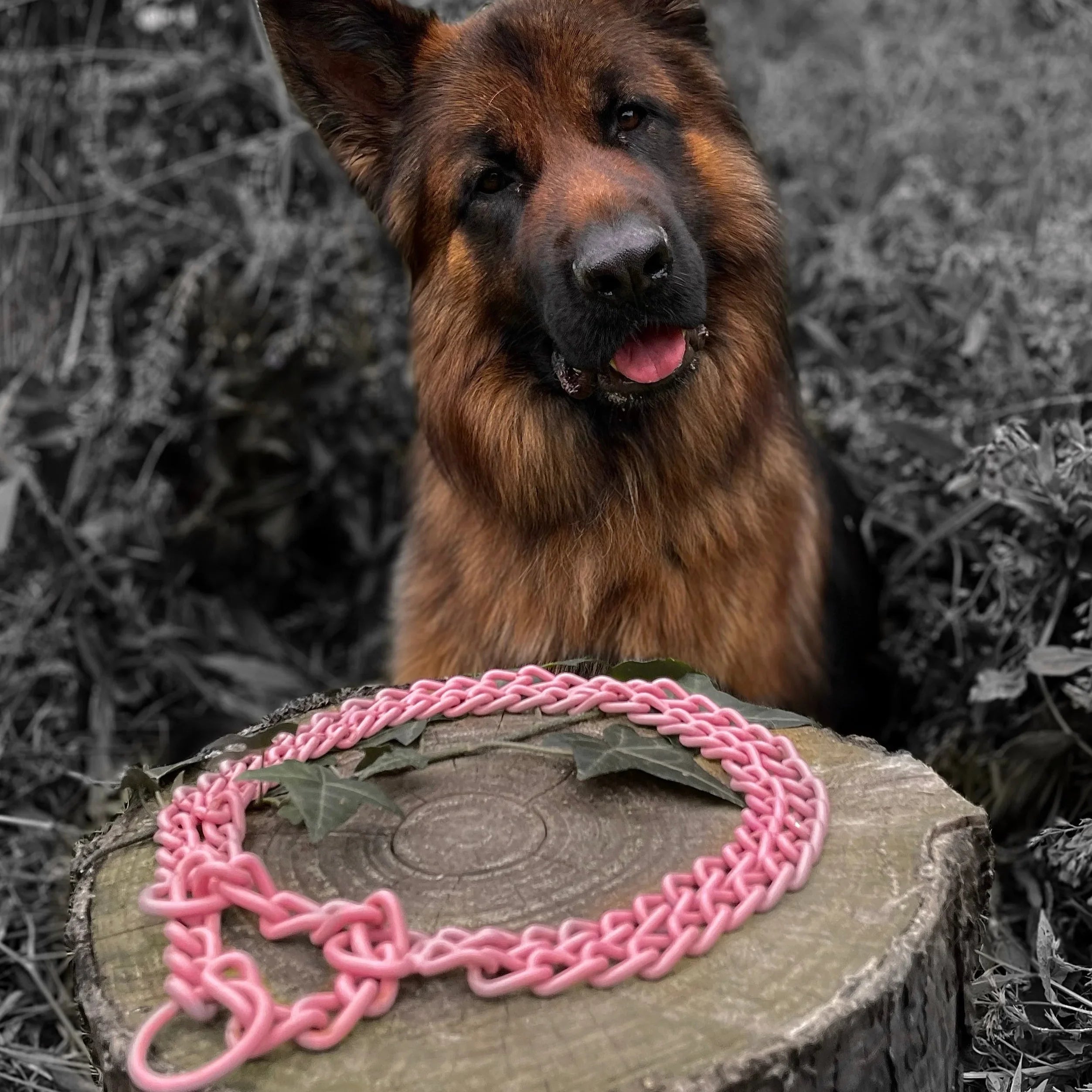 Nos Martingales personnalisables