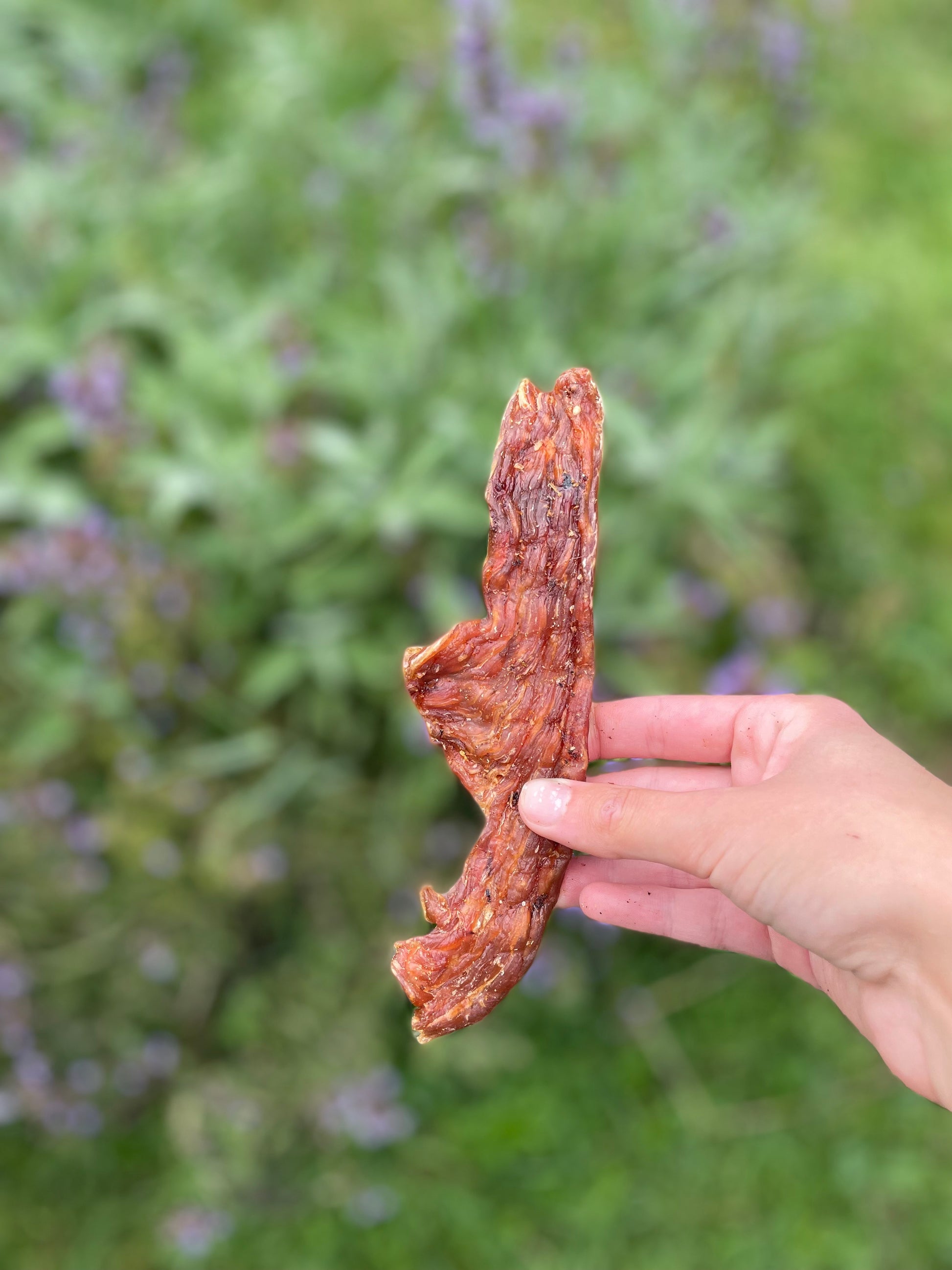 Filet de poulet