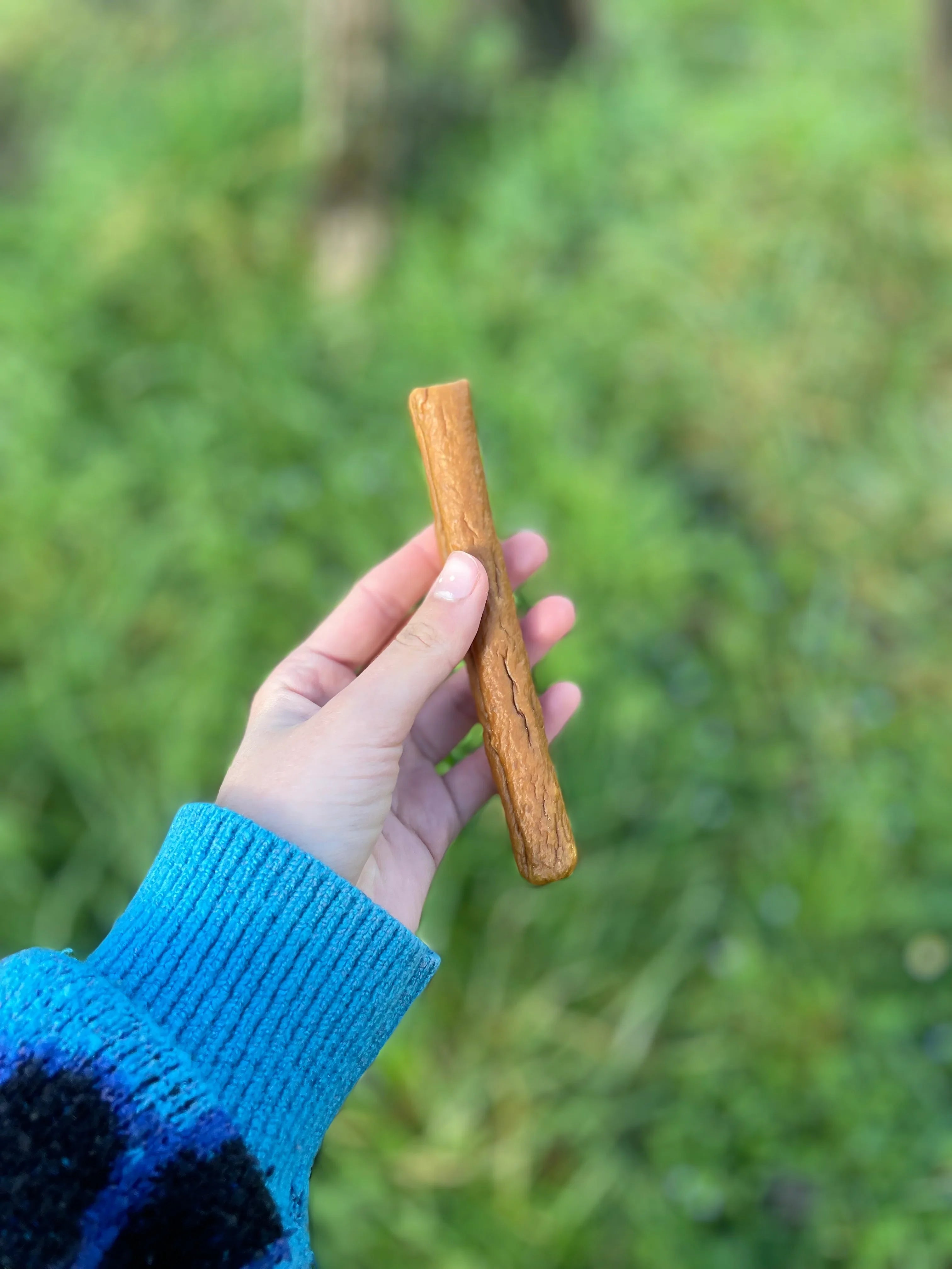 Cigare de poulet