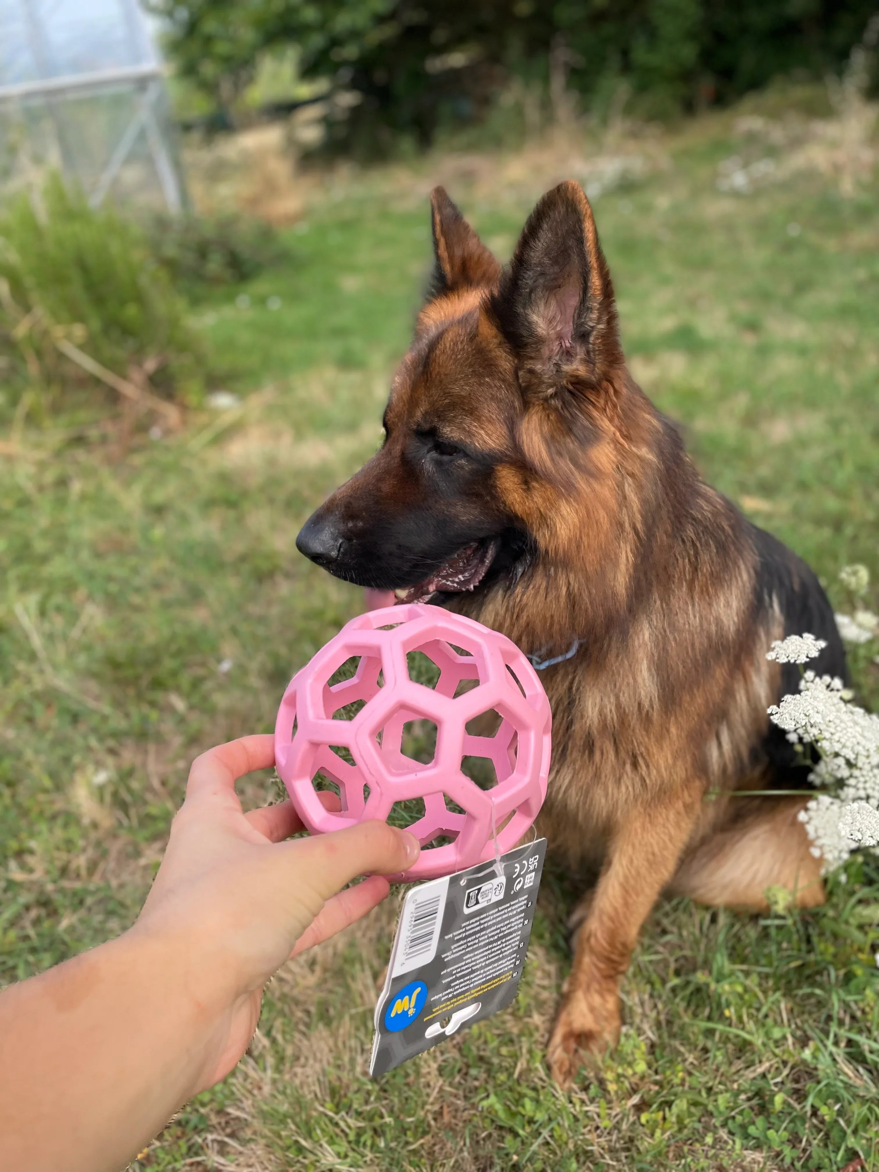 Balle de stimulation mentale rose