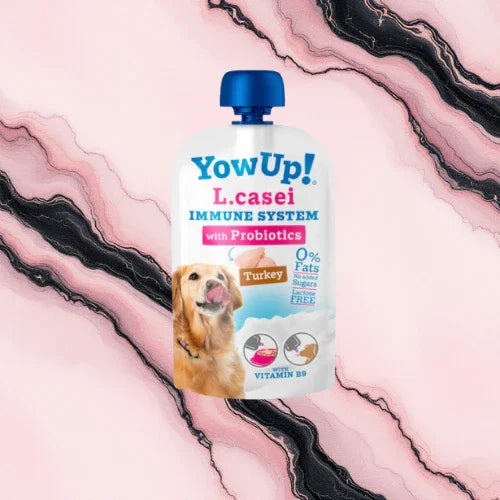 Yowup! - L.Casei (système immunitaire) à la dinde