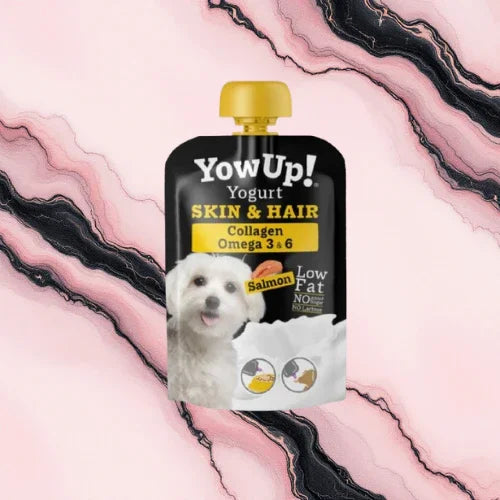 Yowup! - yaourt au saumon peau et pelage