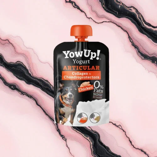 Yowup! - yaourt au poulet confort articulaire