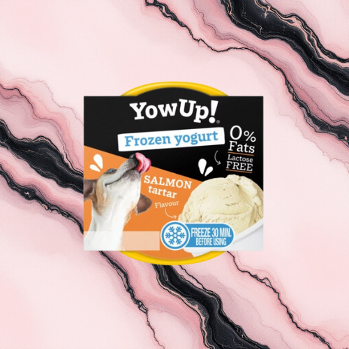 Crème glacée Yowup! Saumon & Tartare