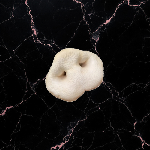 Groin de porc soufflé au miel