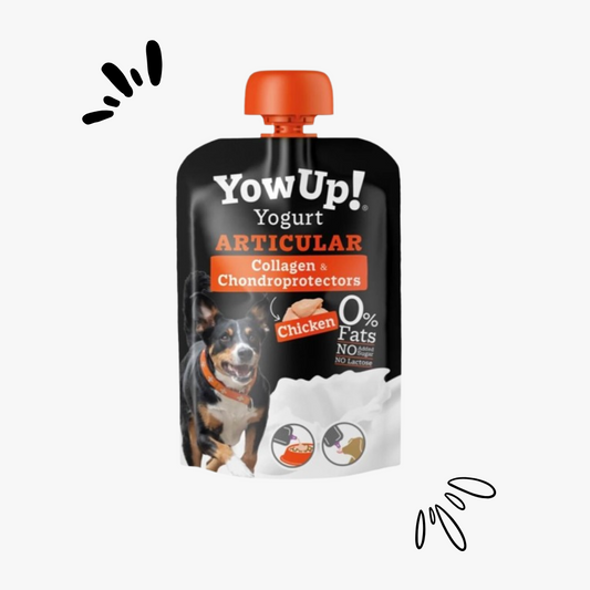 Yowup! - yaourt au poulet confort articulaire