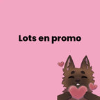 Lots en promo
