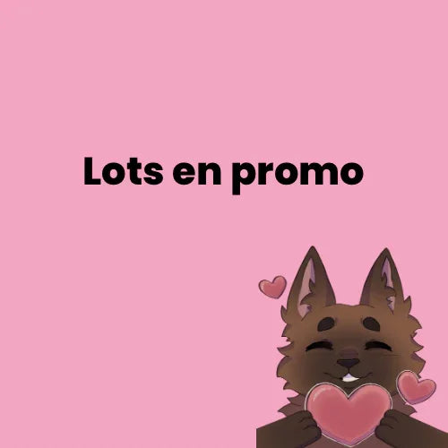 Lots en promo