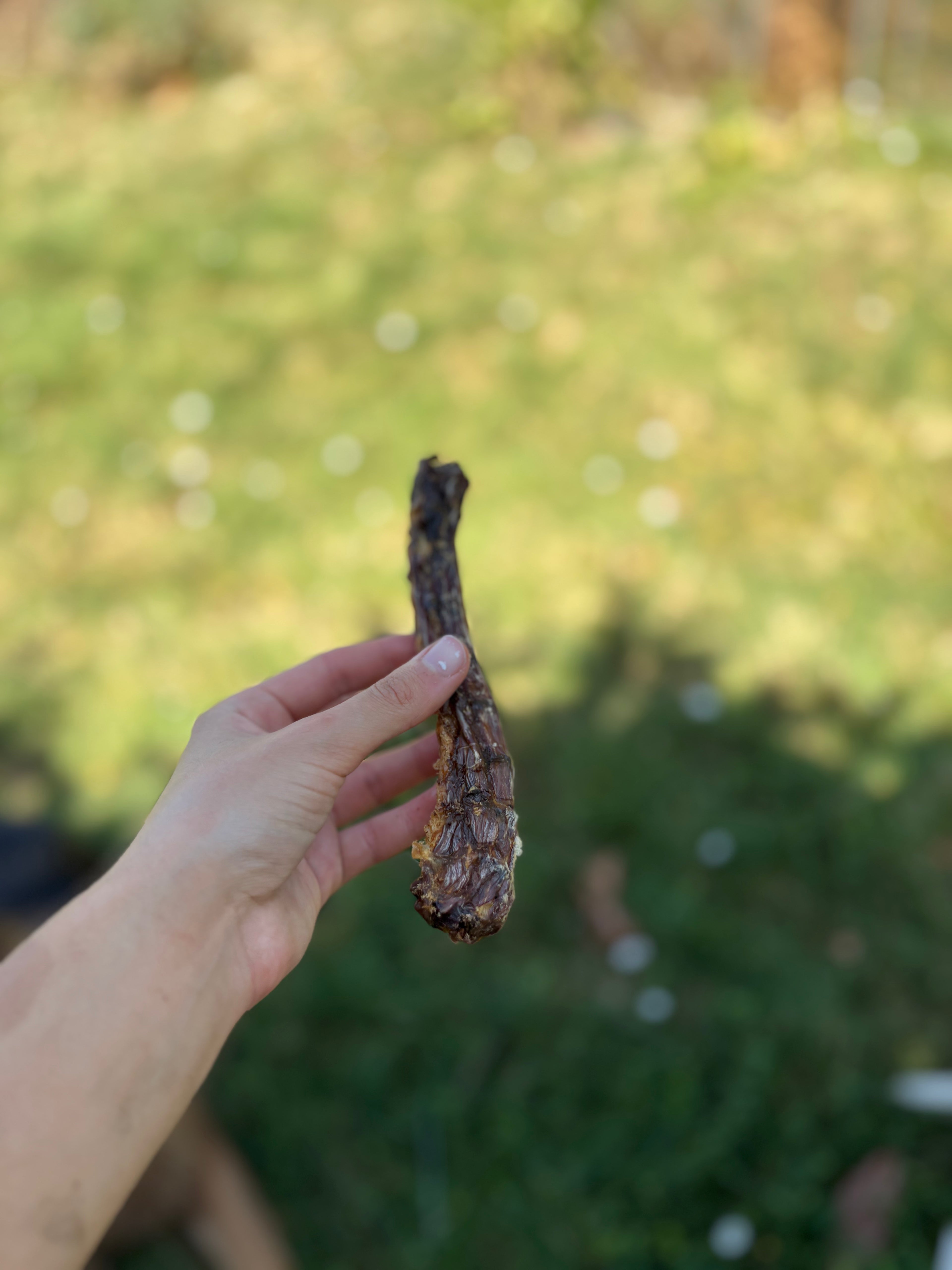 Cou de canard