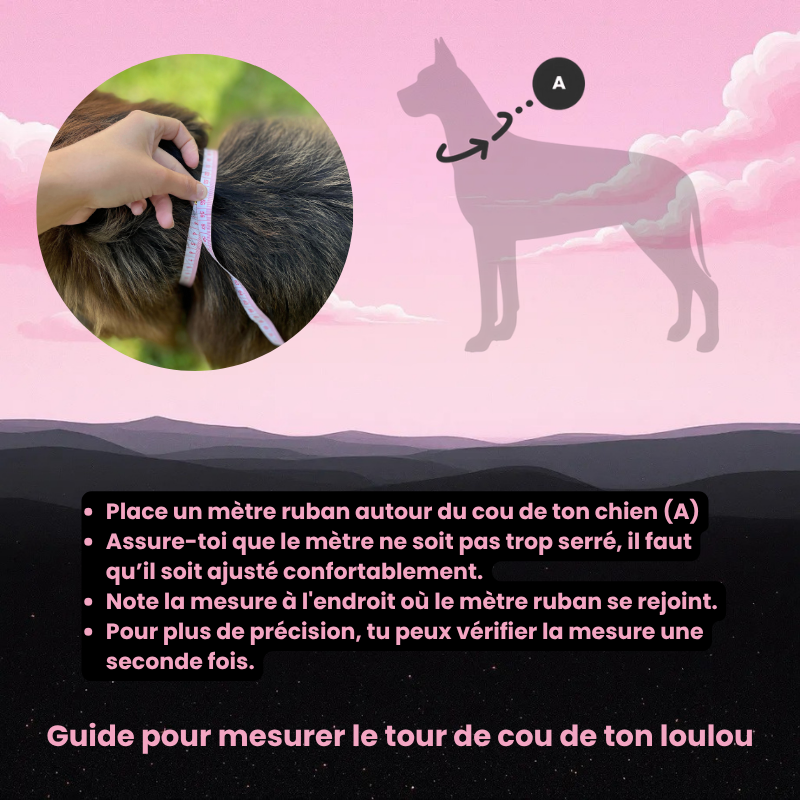 Nos Martingales personnalisables