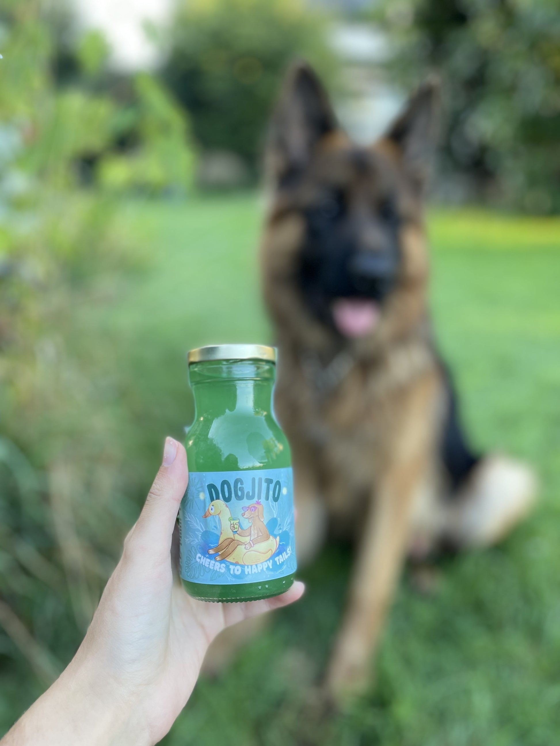 Bouillon d'os pour chiens et chats (poulet) 240ml - MY LOYAL K9