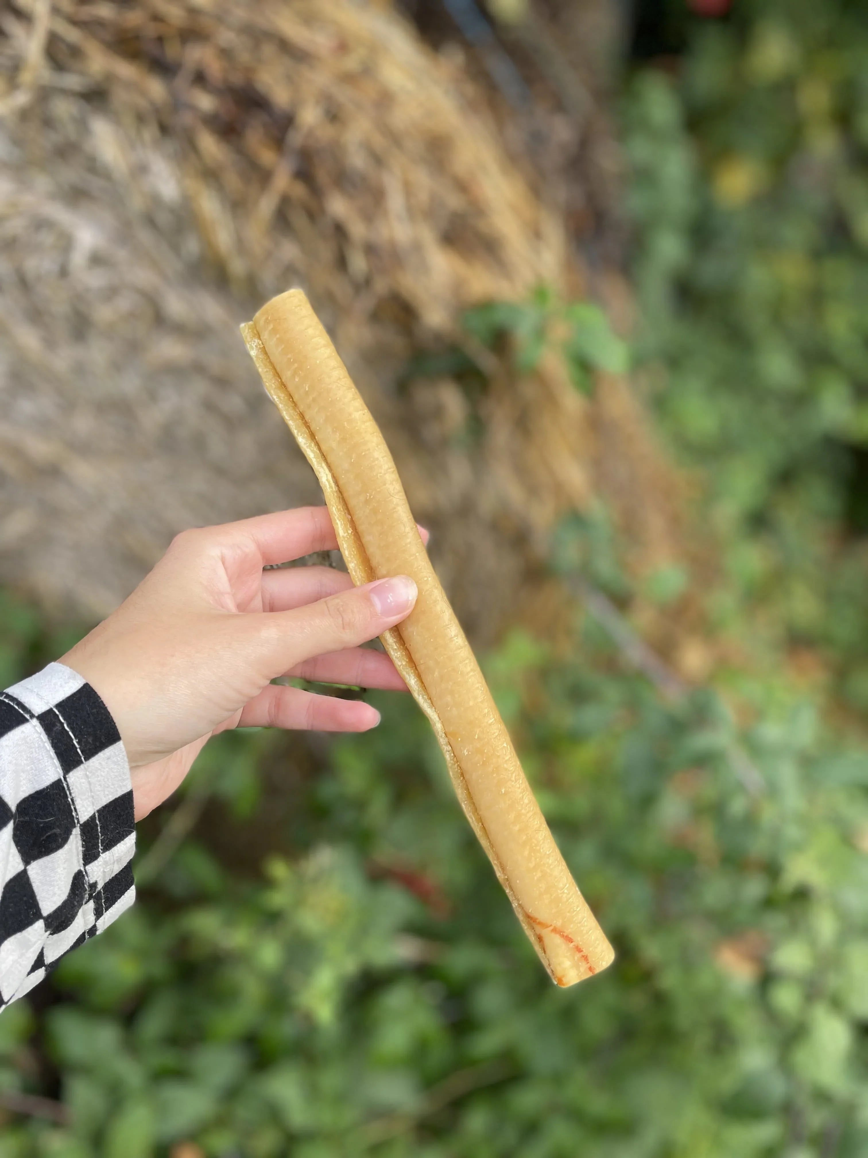 Rouleau de peau de porc 25cm - MY LOYAL K9