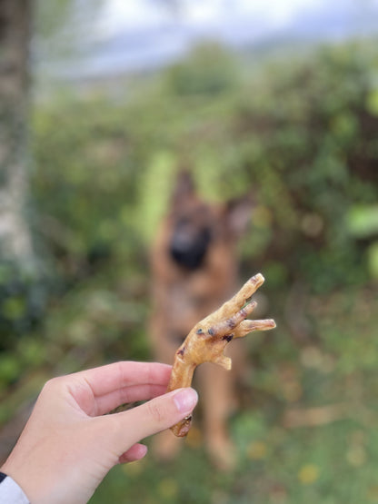 Patte de poulet à l'unité - MY LOYAL K9