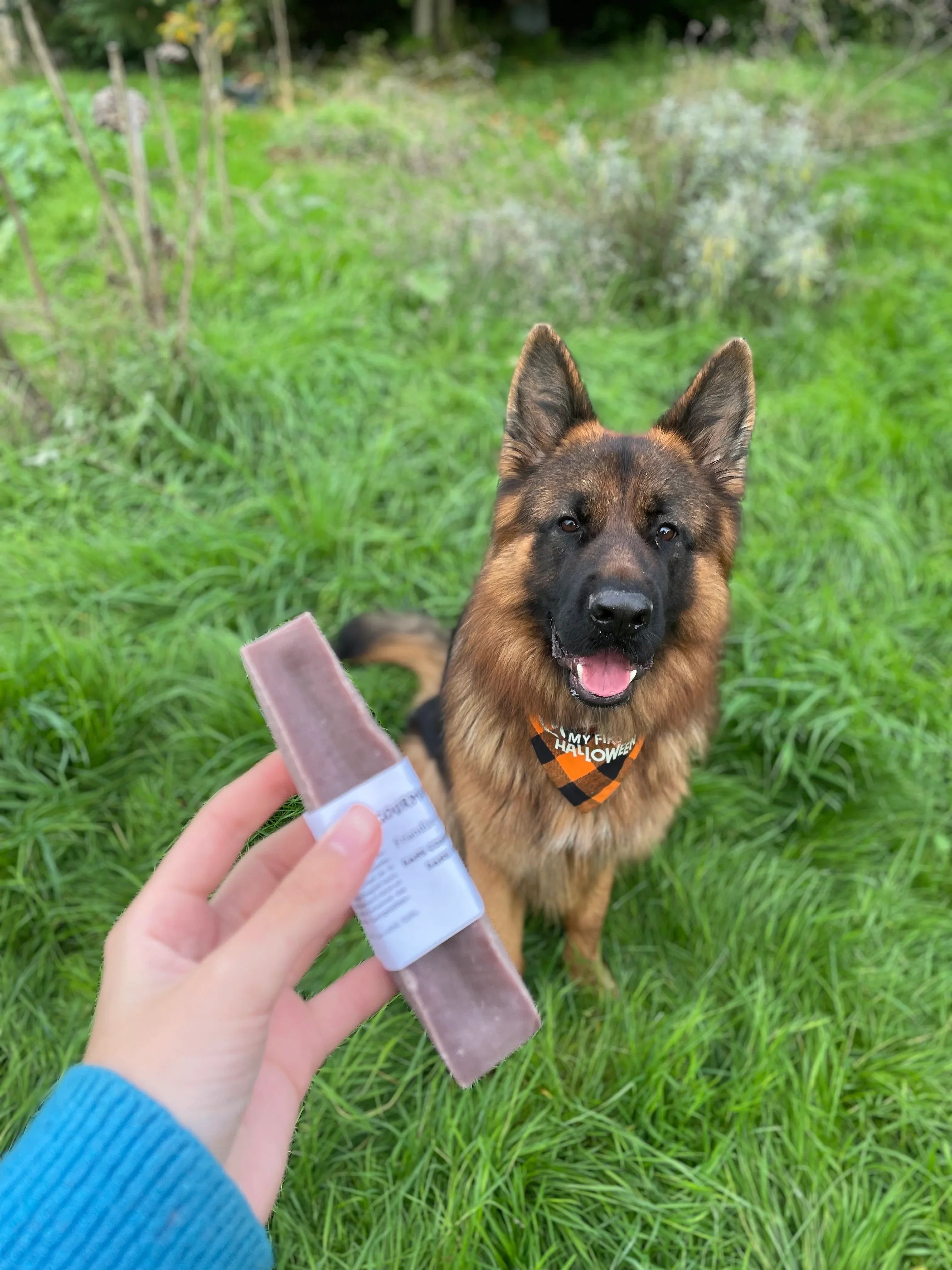 Cheese bone à la myrtille