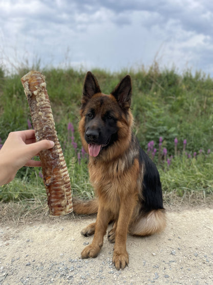 Trachée de boeuf XL (30cm) - MY LOYAL K9